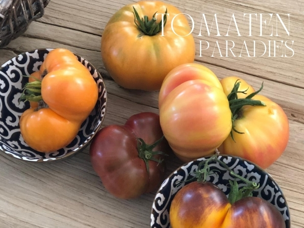 Korbserie Norah &ndash; Charme de Provence